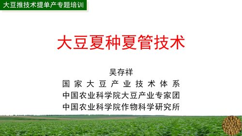 大豆推廣技術提單產專題培訓月 經濟信息咨詢助力農業(yè)增效